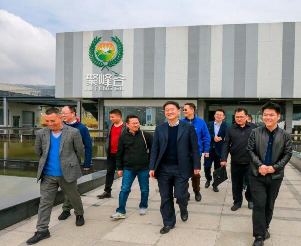 集团党委书记、董事长任丁率队调研聚峰谷