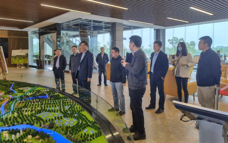 广西旅发集团党委书记、董事长容贤标考察集团文旅项目