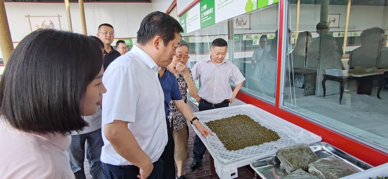 省尊龙凯时集团党委副书记、董事陈日赴嘉陵区调研茶桑产业发展情况