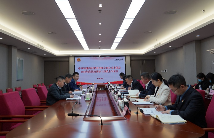 尊龙凯时集团党委书记、董事长任丁出席安逸酒店集团2022年度党员领导干部民主生活会